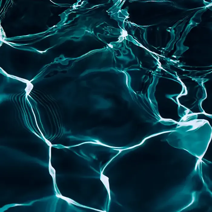 Eclipse Black swimming pool color